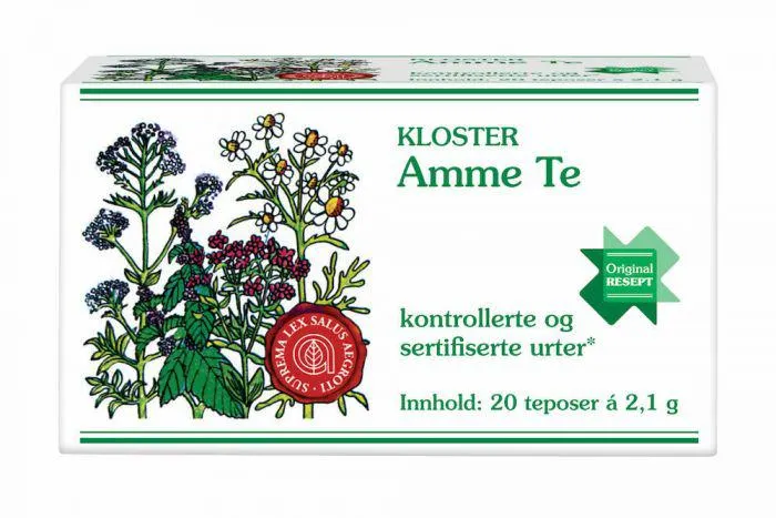 Kloster Amme Te
