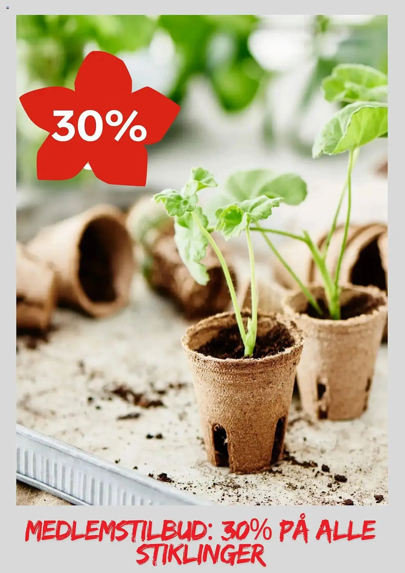 Plantasjen Kundeavis fra 27. februar til 14. mars 2025 - kundeavisside 7