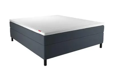 Wonderland Sonate Kontinentalseng