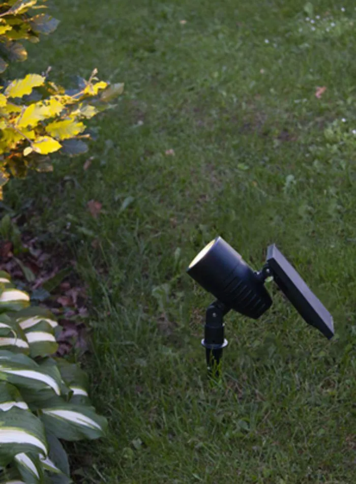 Hagespyd utelampe - solcelledrevet