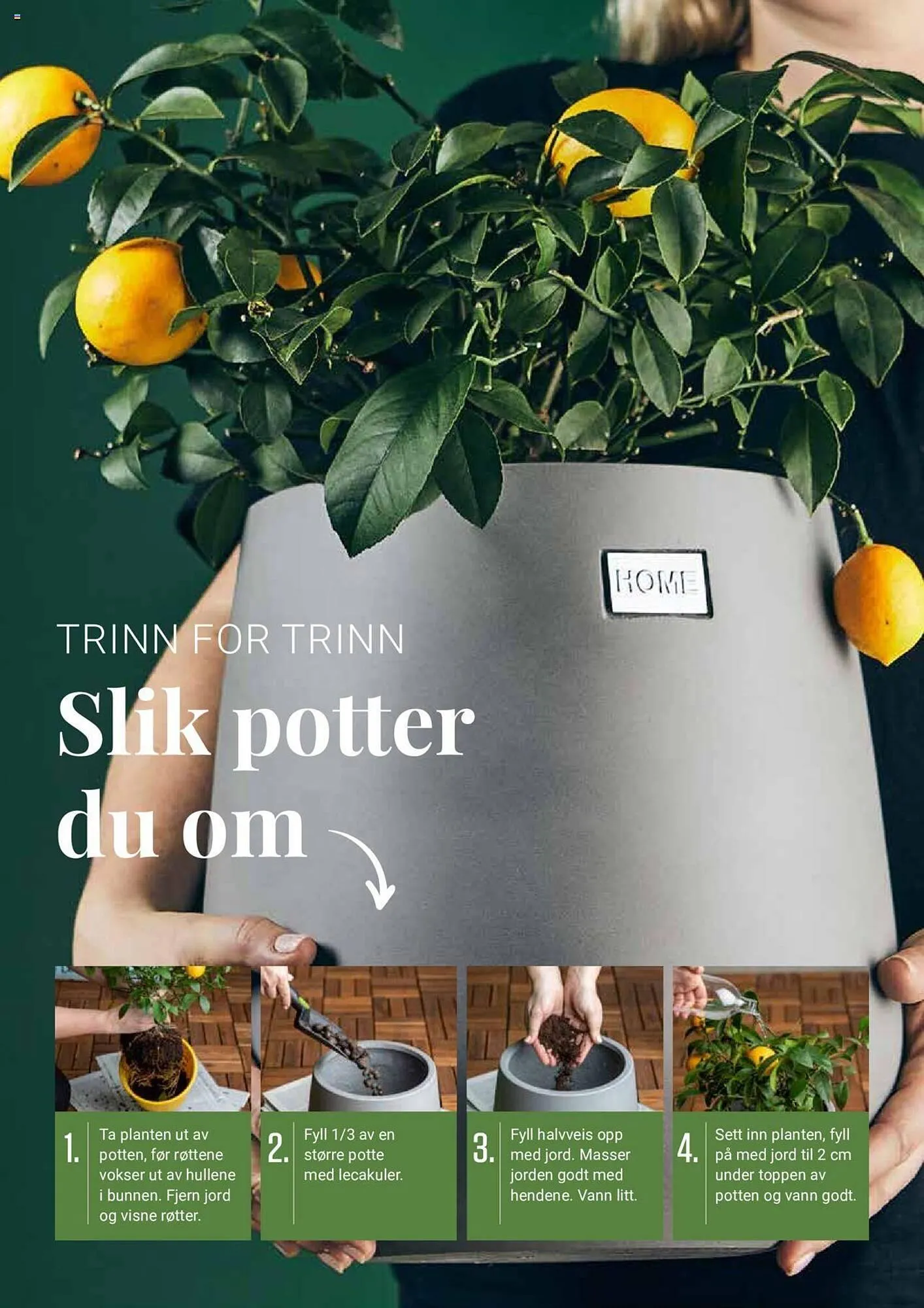 Europris Kundeavis fra 10. mars til 31. desember 2023 - kundeavisside 7