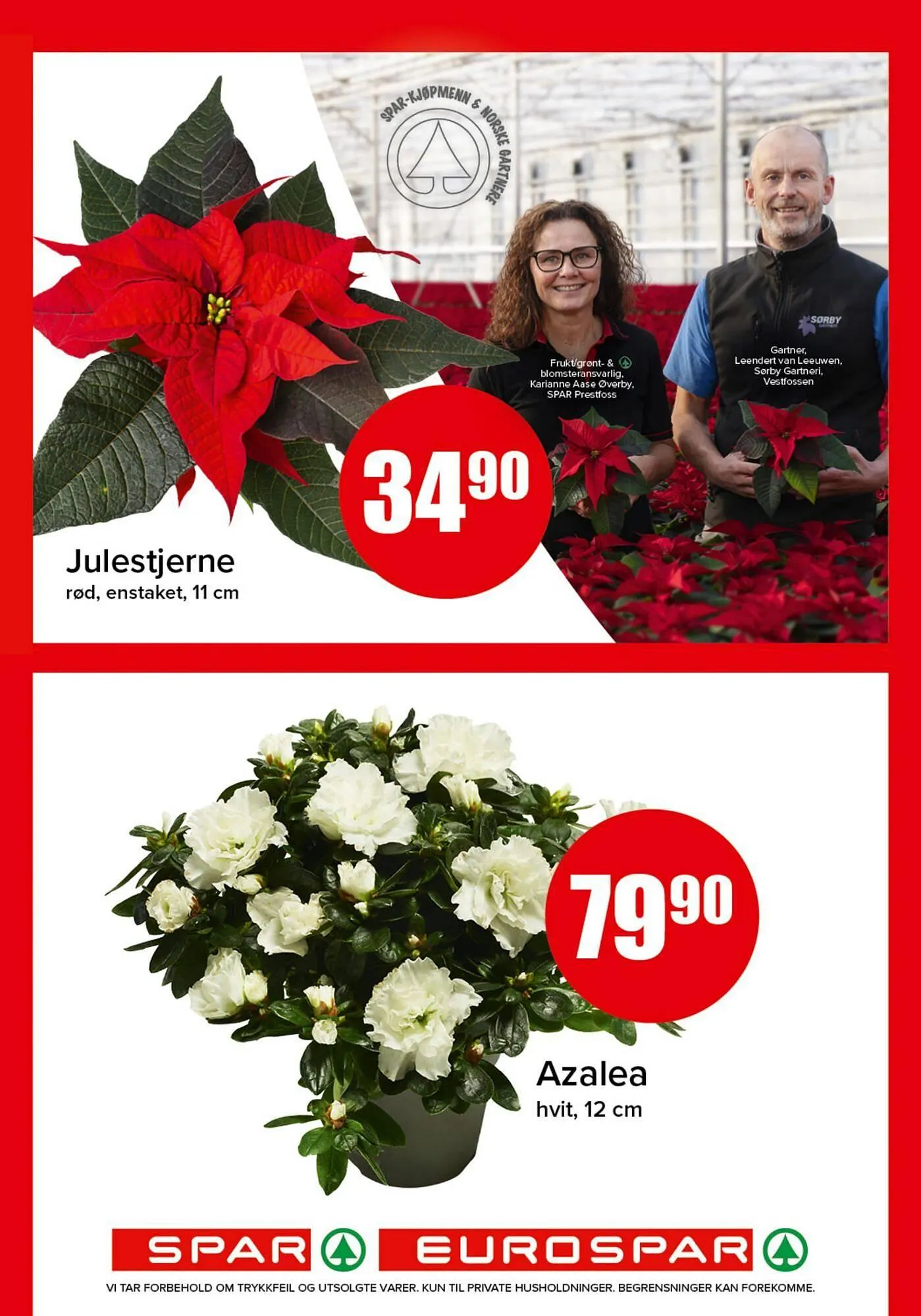 Spar kundeavis fra 6. november til 8. november 2025 - kundeavisside 17