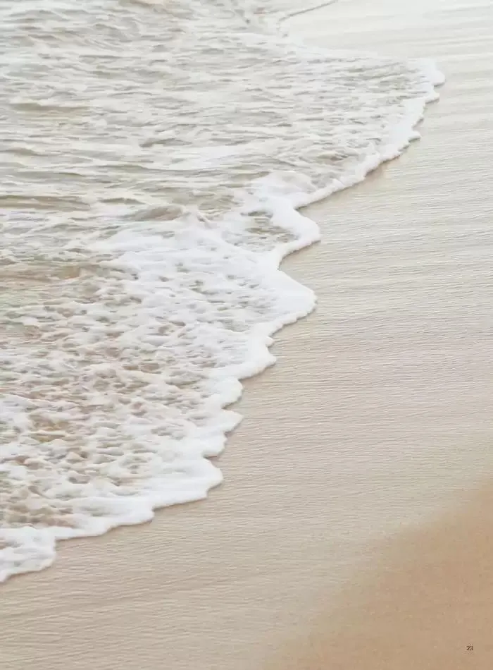 The journal fra 30. oktober til 30. november 2024 - kundeavisside 25