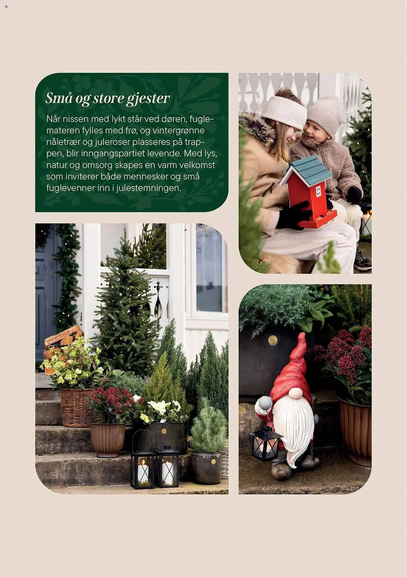 Plantasjen kundeavis fra 2. desember til 9. januar 2026 - kundeavisside 9