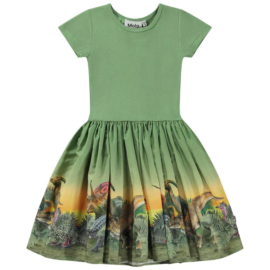 GOTS Cissa Kjole Dino Stroll