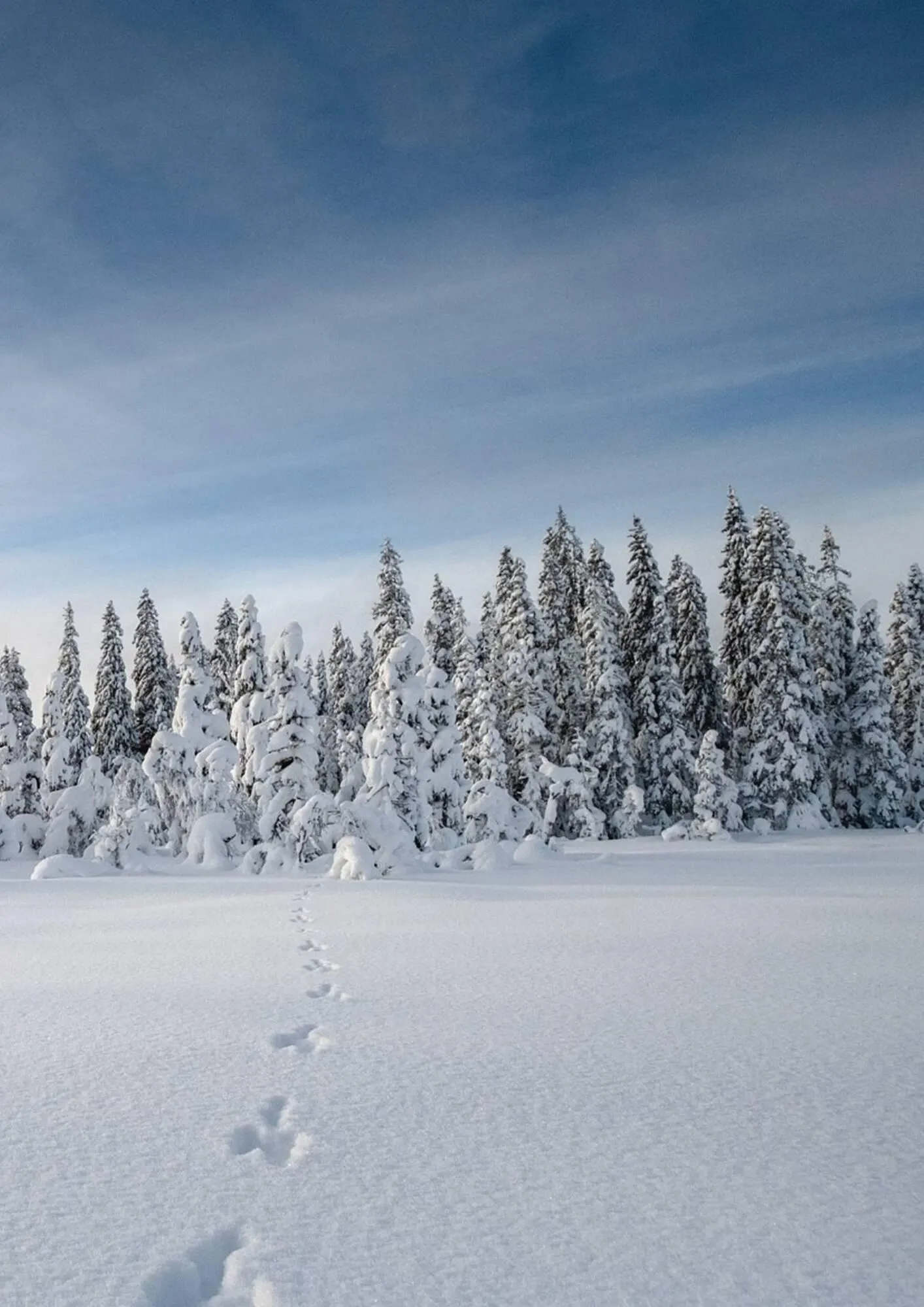 Fagmøbler kundeavis fra 16. desember til 25. desember 2025 - kundeavisside 19