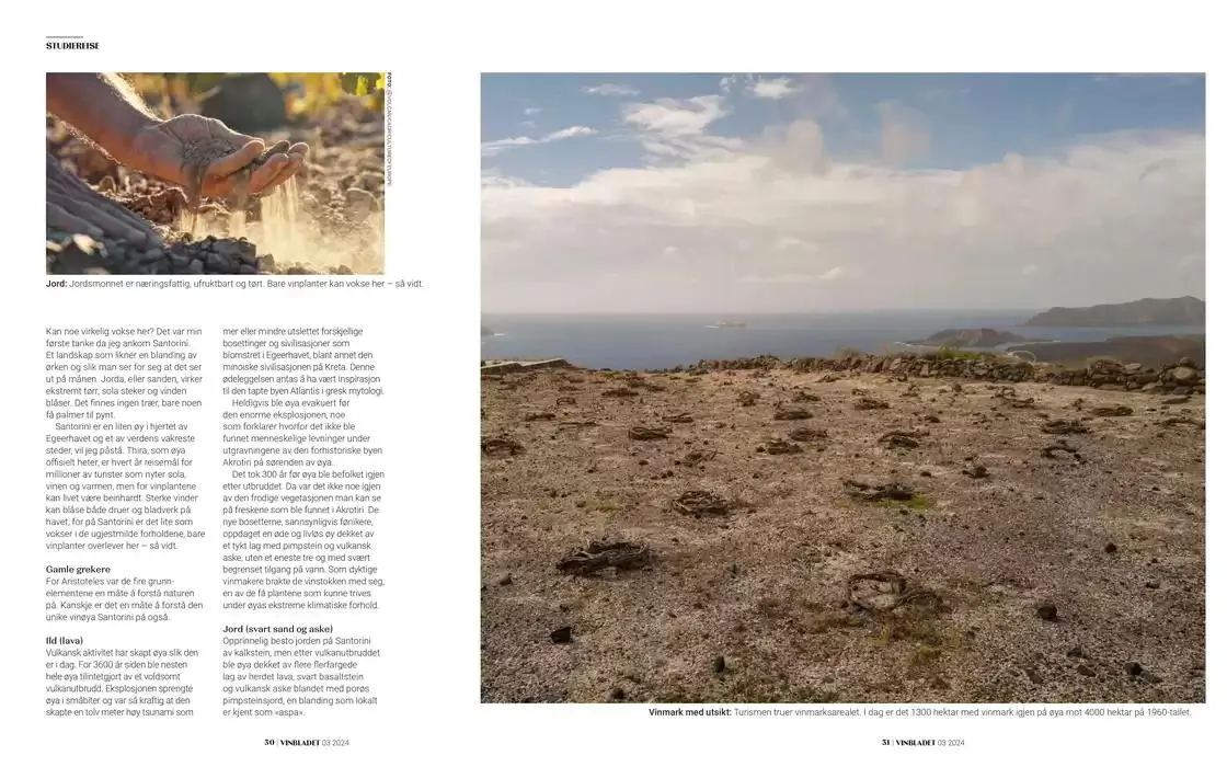 Vinbladet fra 18. november til 2. desember 2024 - kundeavisside 16