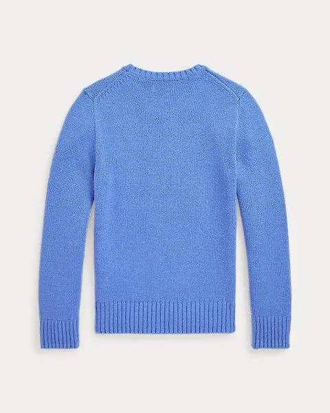 Polo Bear Jumper