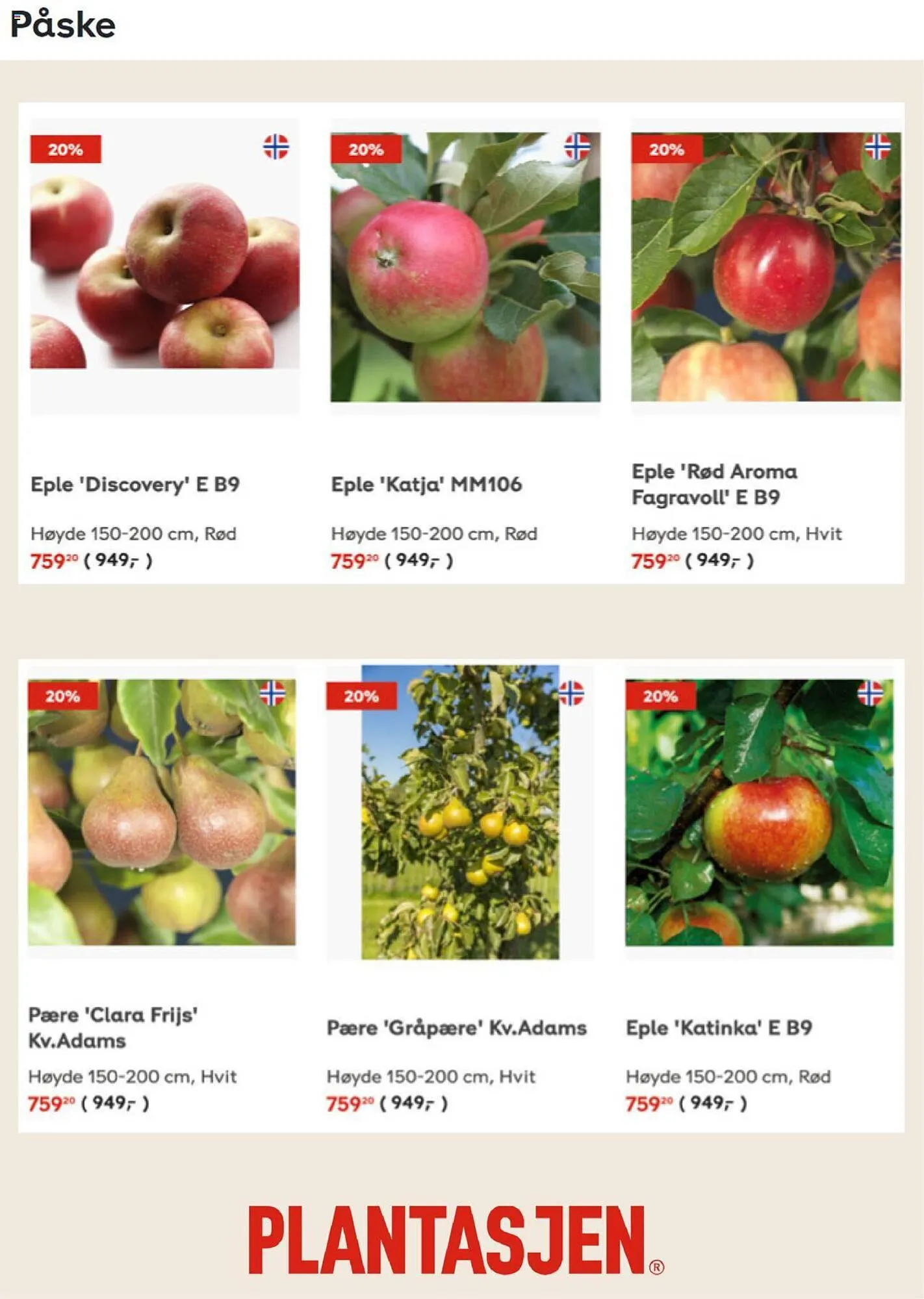 Plantasjen Kundeavis fra 6. september til 26. september 2023 - kundeavisside 2