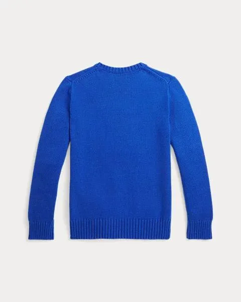 Polo Bear Cotton Jumper