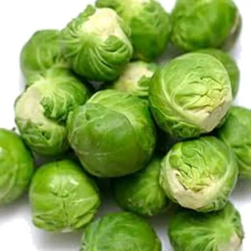 Brussel Sprout