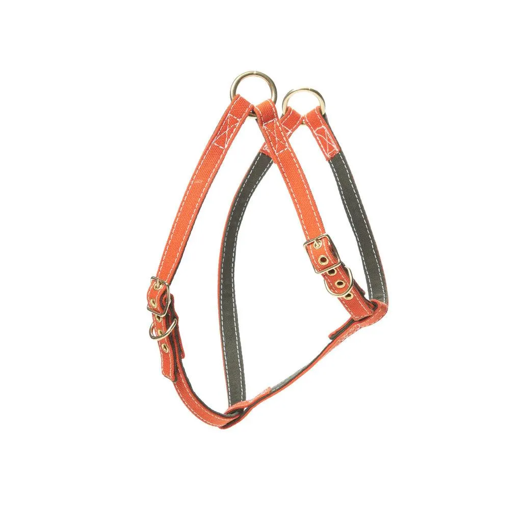 Canvas Harness Olive/Orange