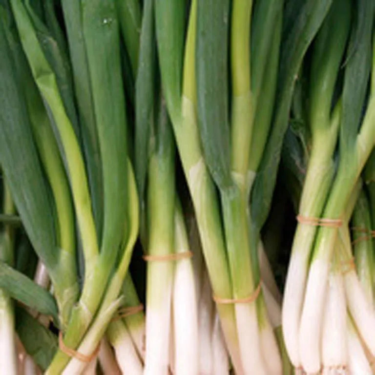 Spring Onions
