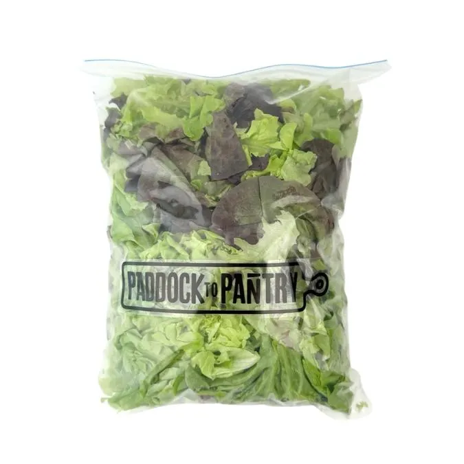 Paddock To Pantry Salad Mix 300g