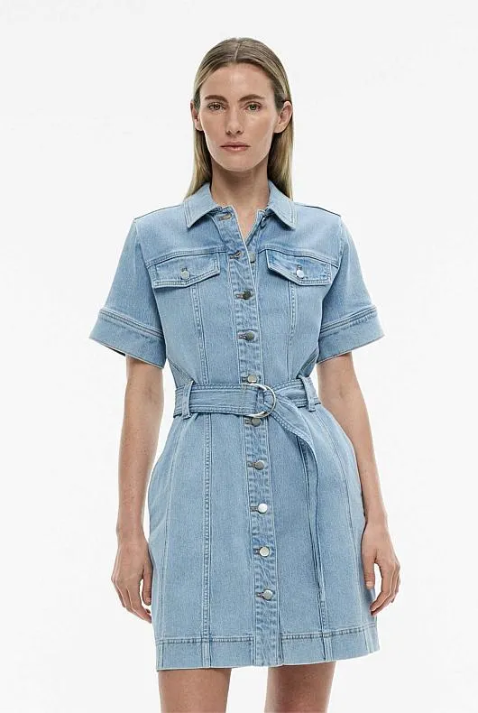 Denim Utility Dress