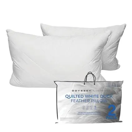 2 Pack Feather Quilted Pillows