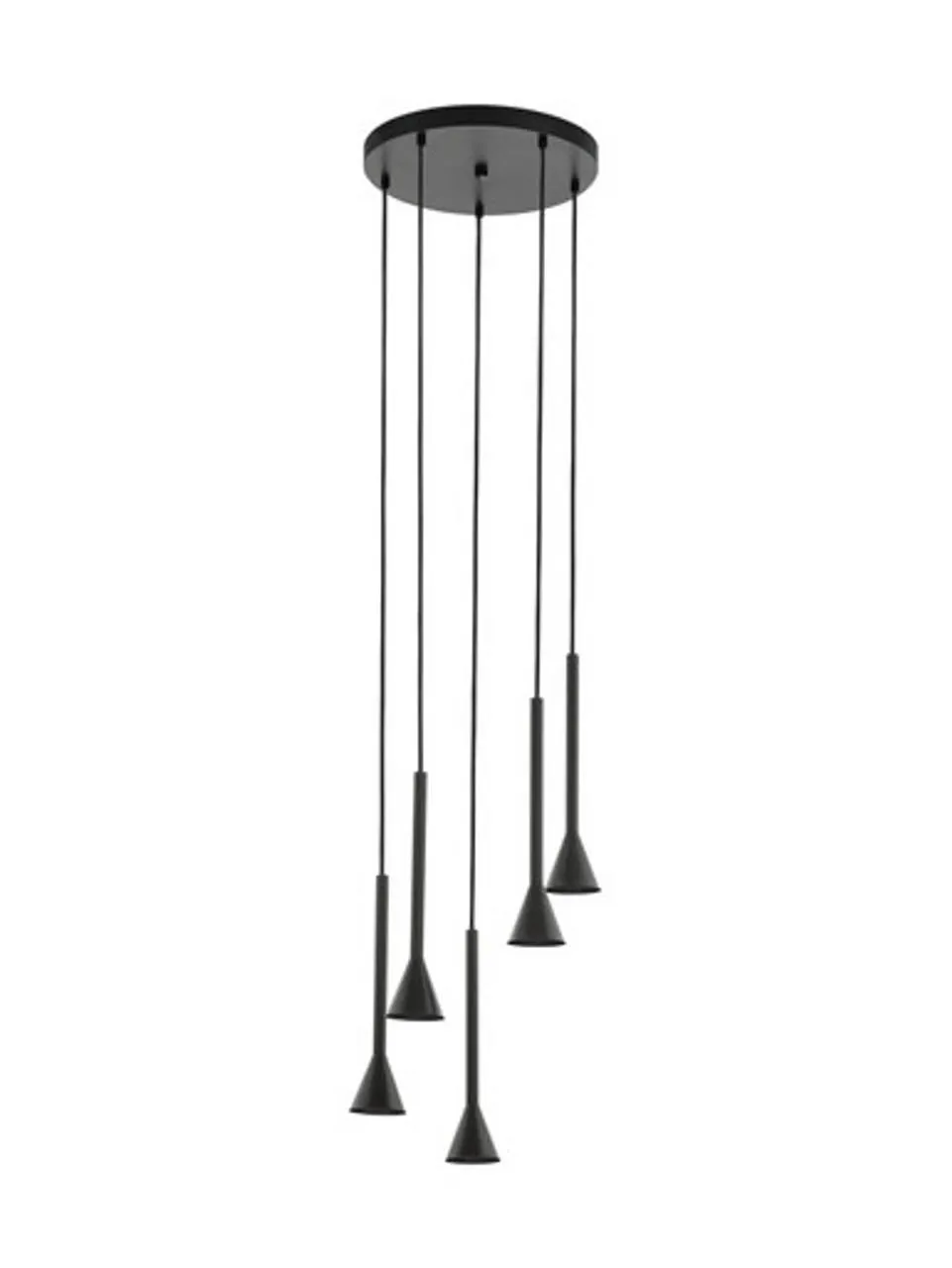 Cortaderas 5 Light Pendant Black