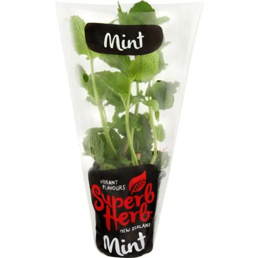 Superb Herb Fresh Mint