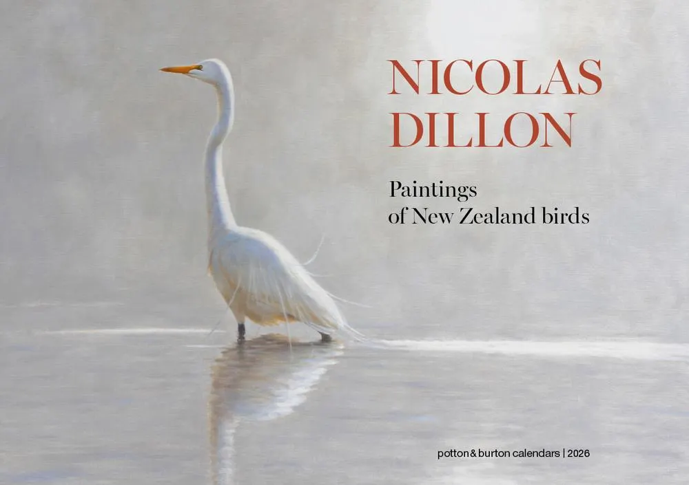 2026 New Zealand Nicolas Dillon Bird Paintings Wall Calendar