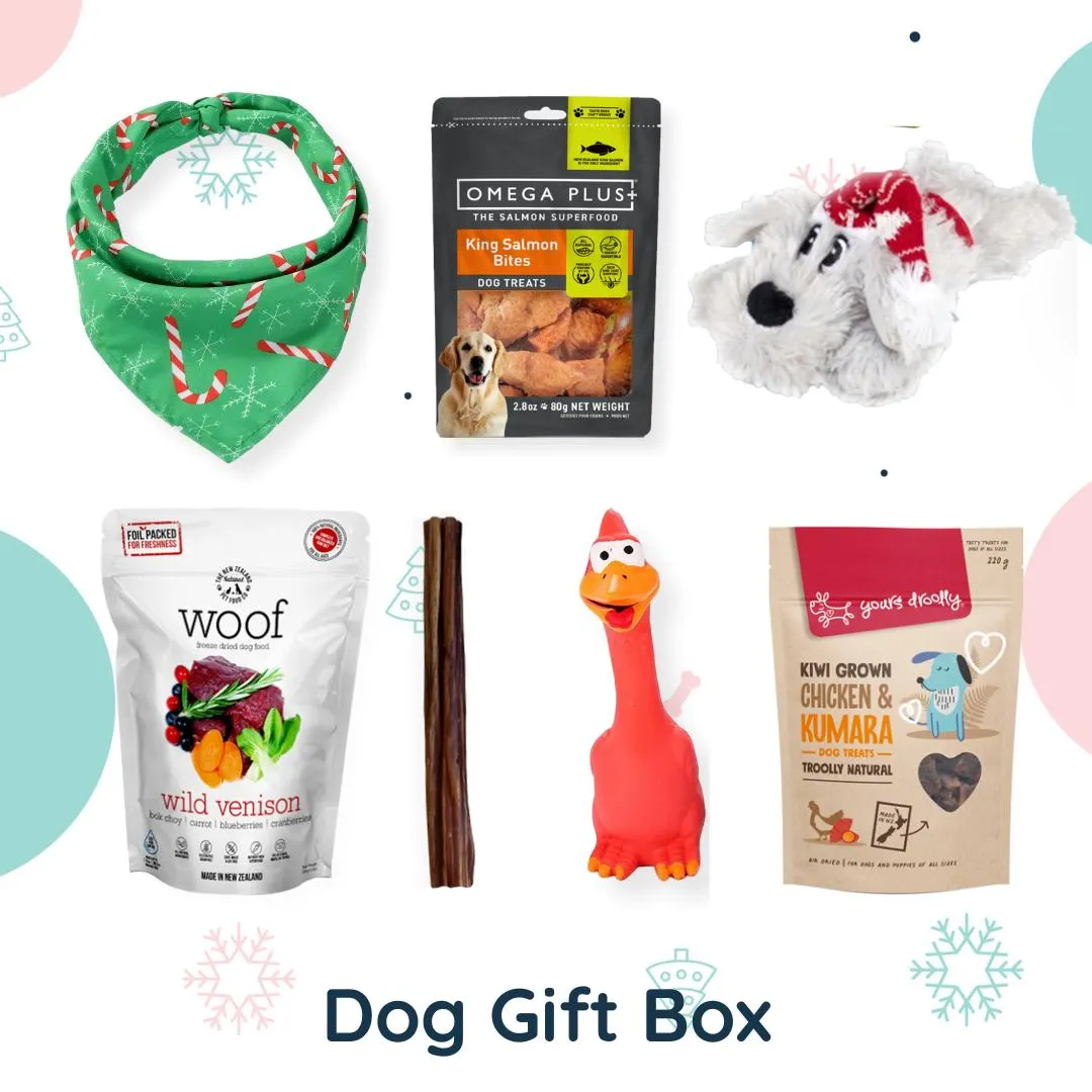 Christmas Dog Gift Box
