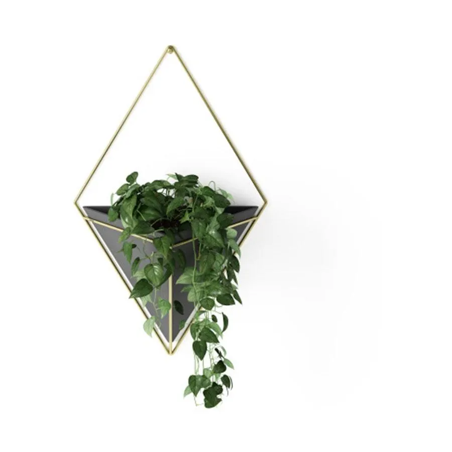 Umbra Trigg Large Wall Vessel Black/Brass