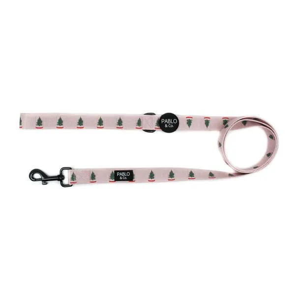 Snow Globes Dog Leash