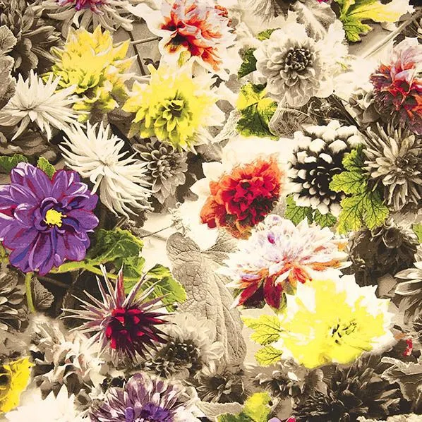 Cotton Spandex Sateen Fabric, Floral Highlights- Width 150cm