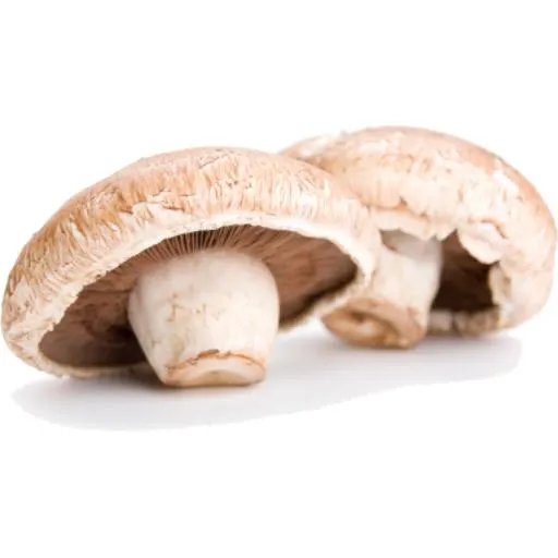 Mushroom Portabello