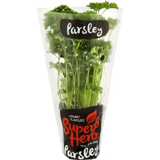 Superb Herb Living Herb Parsley