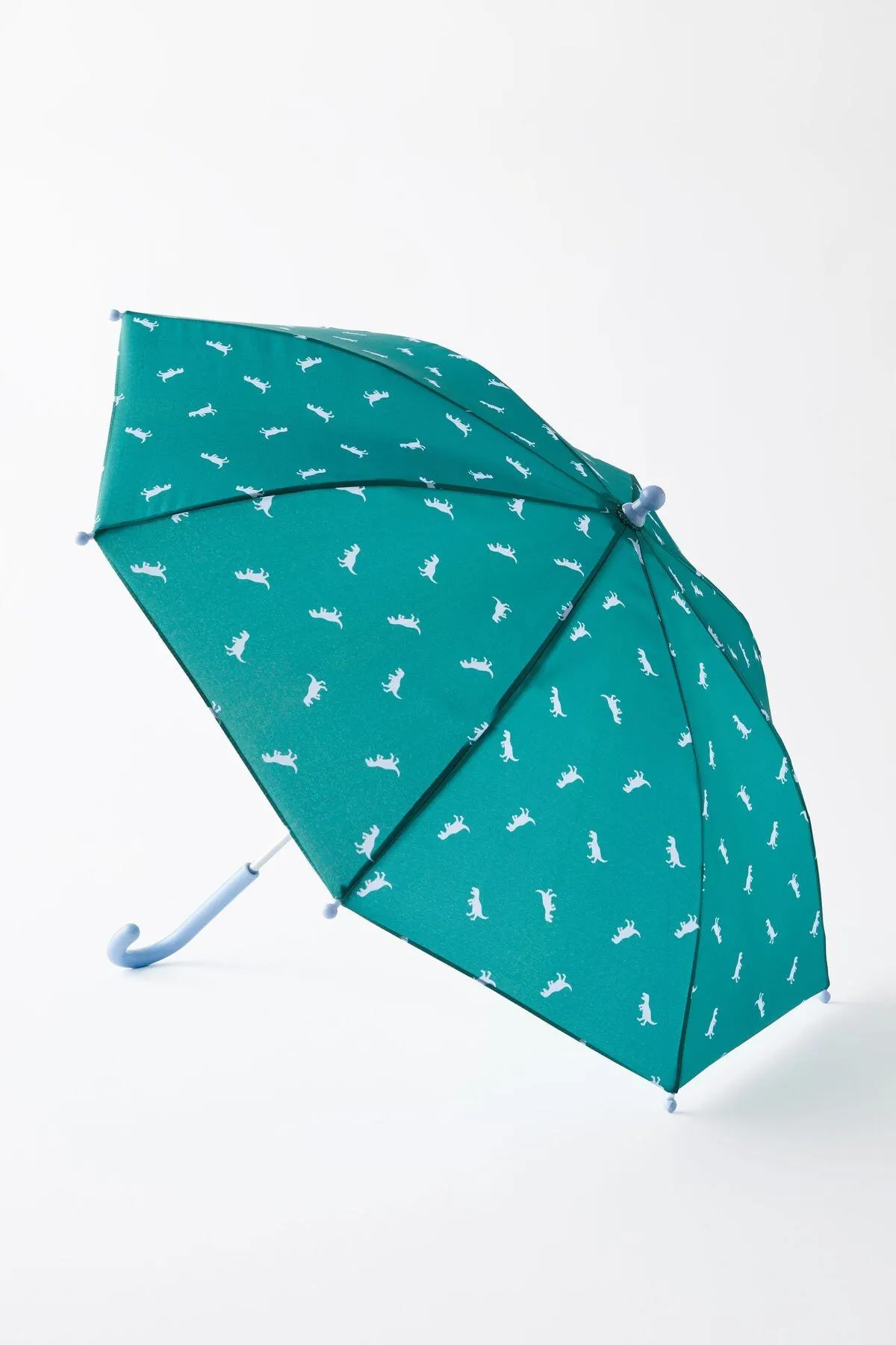 Kids Rainy Day Umbrella