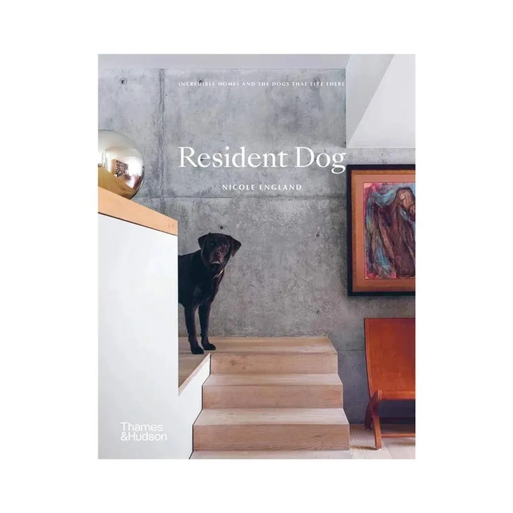 Resident Dog Vol 1