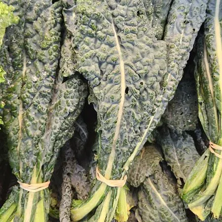 Cavolo Nero