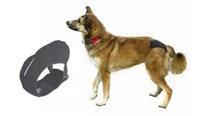 Protective Dog Pants 60-70cm - Xl 23495