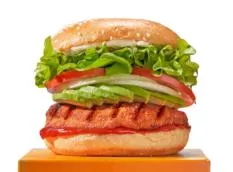 Tegel Crunchy Chicken Burgers 1kg