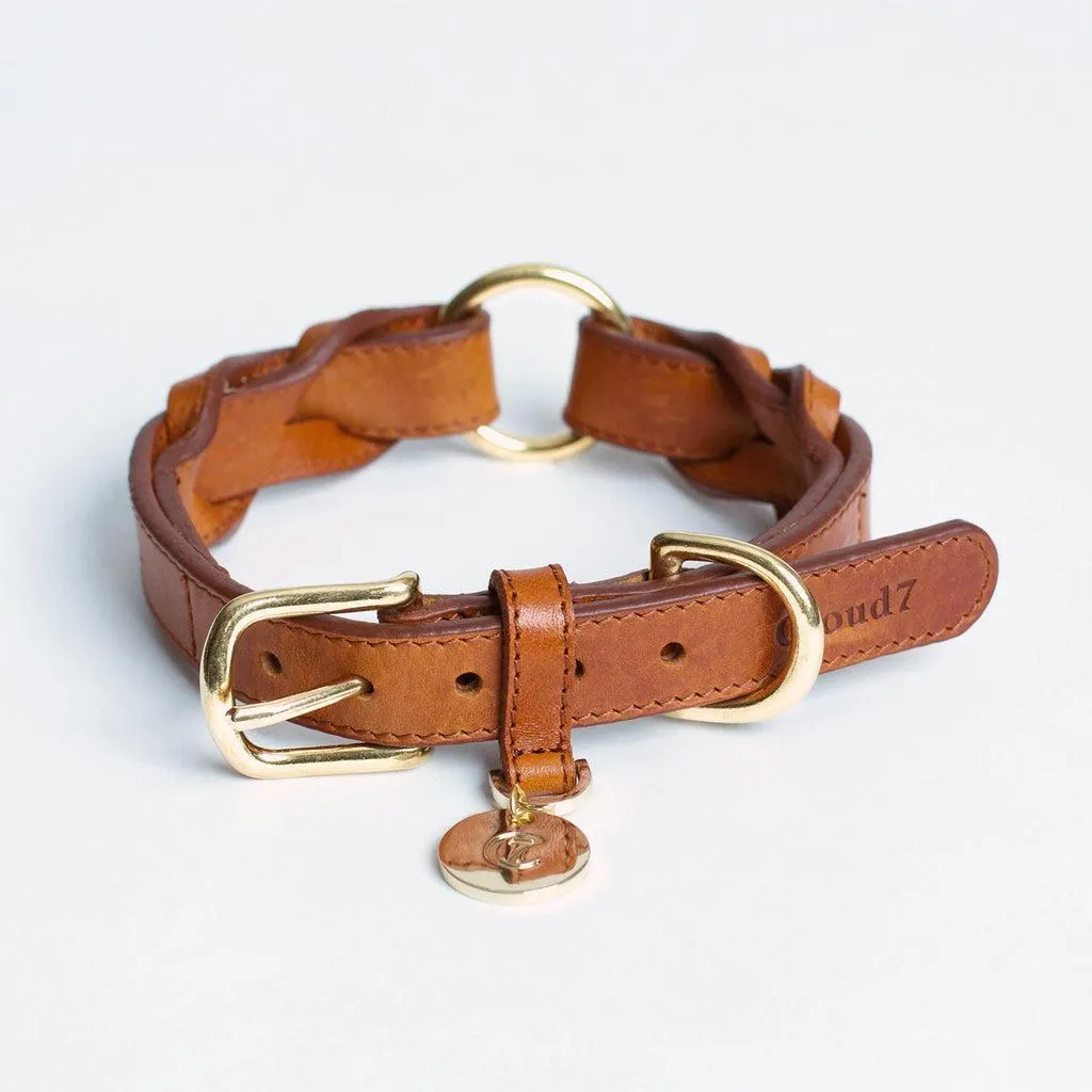 Hyde Park Collar in Cognac from Cloud 7