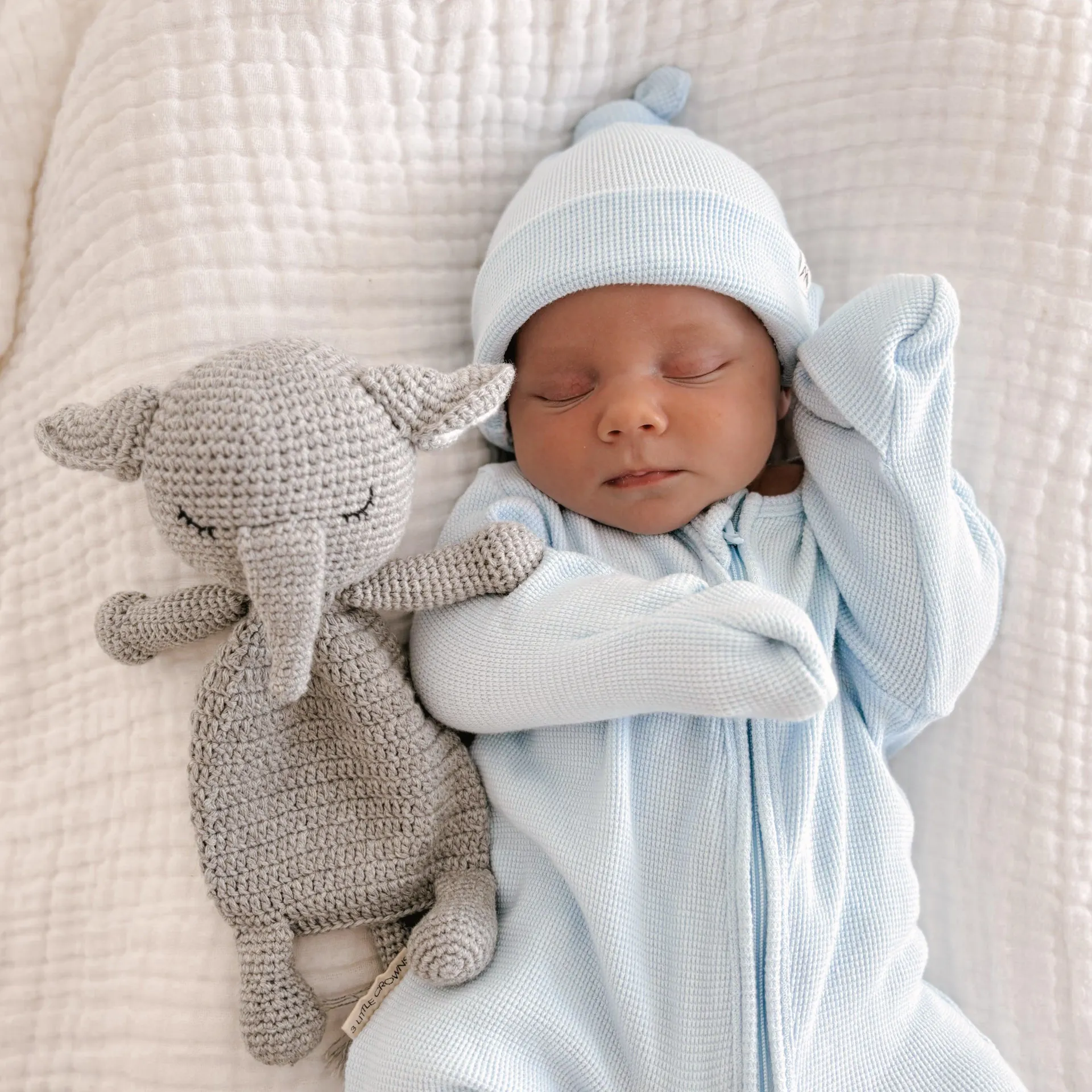 Cuddle Me - Elephant
