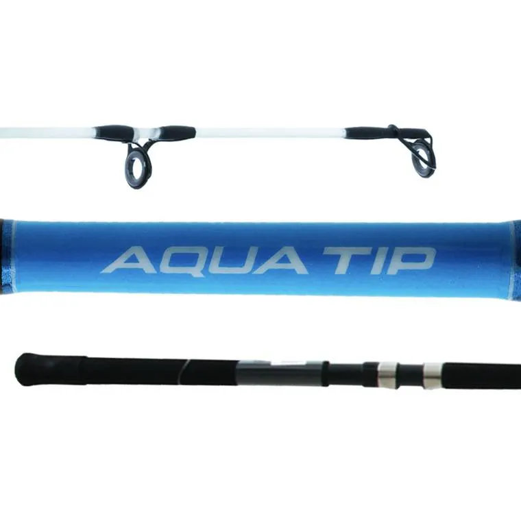 Shimano Aquatip 12' 8-10kg 2 Piece Spinning Rod