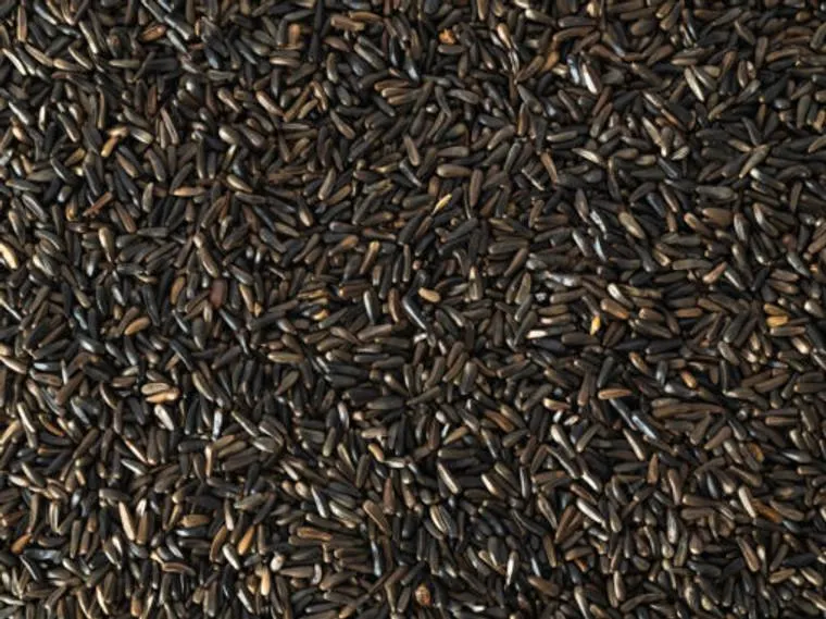 Topflite Niger Seed 1kg