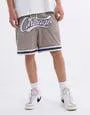 Chicago Basketball Shorts in Sand