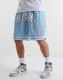 Miami City Basketball Shorts in Light Blue