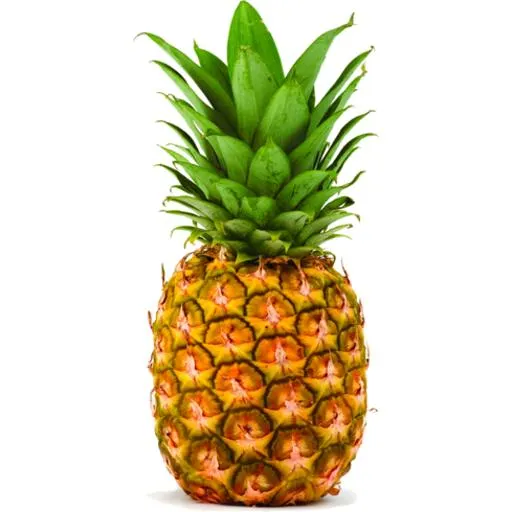 Pineapple Dole Tropical Gold