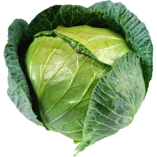 Cabbage Green