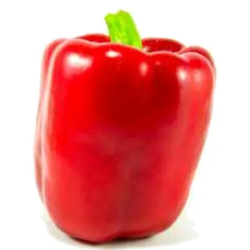 Red Capsicum