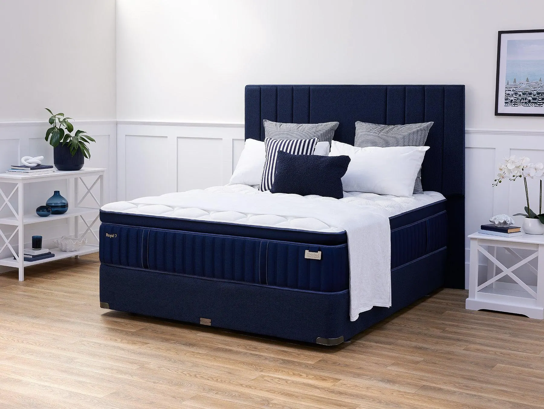 After Dark Royal 7 King Single