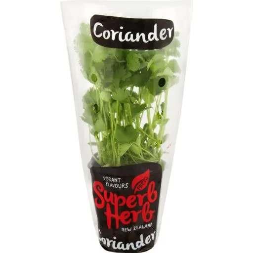 Superb Herb Fresh Coriander