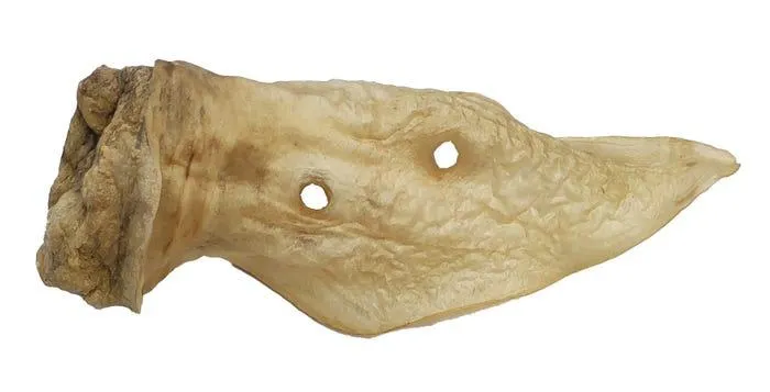 Butchers Sc Venison Ear Dog Treat