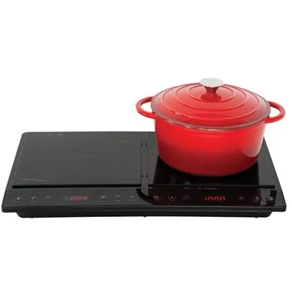 Dual Induction Cooker
