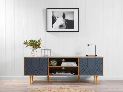 Zara Entertainment Unit