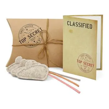 Chief Mouser Training Kit Cat Toys