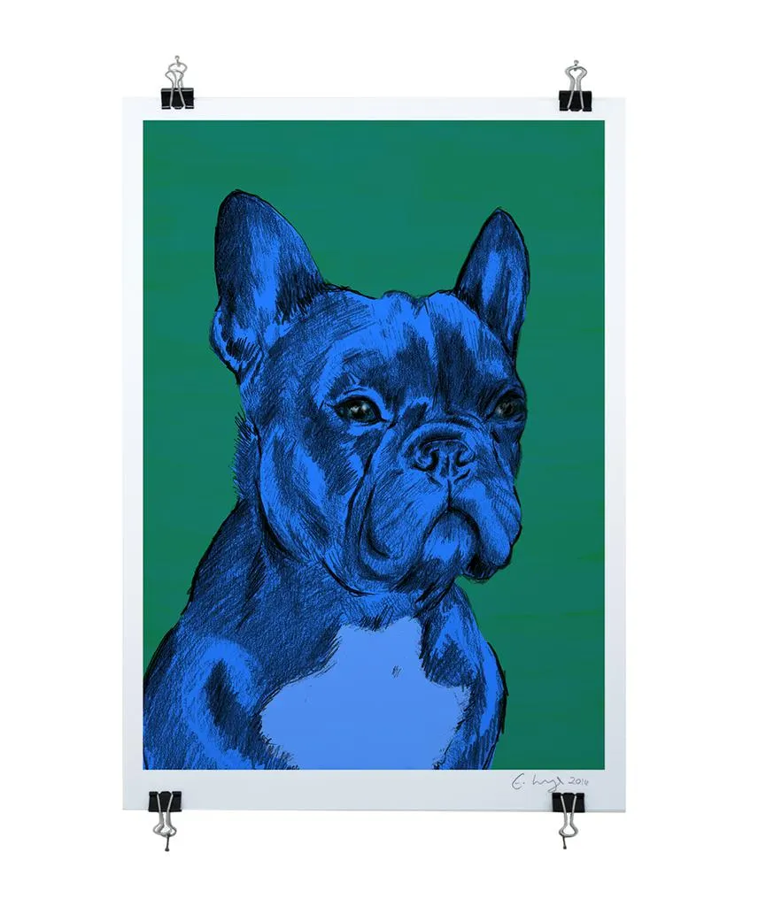 The French Bulldog - Evie Kemp